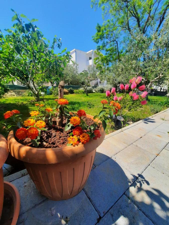 Apartment Noa'S Garden Bibinje Esterno foto