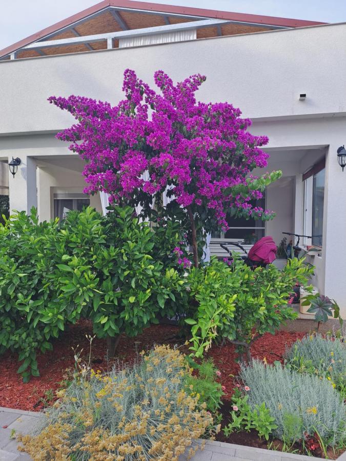 Apartment Noa'S Garden Bibinje Esterno foto